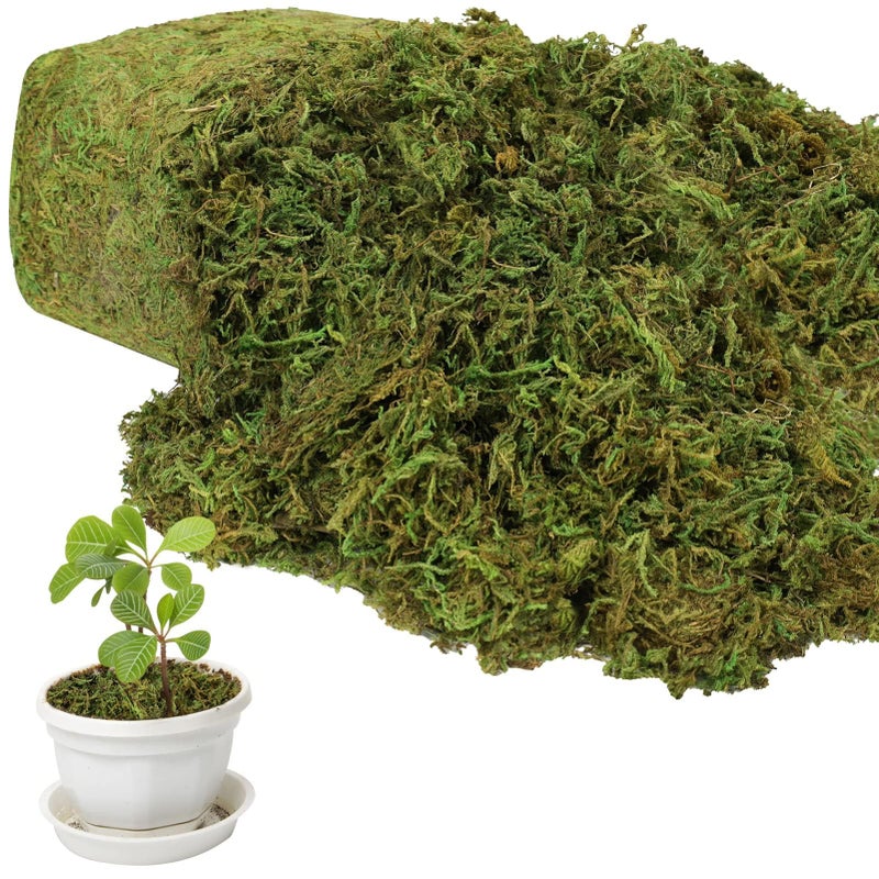 YUNVI 17.6 OZ Artificial Moss for Potted Plants Natural Fake Moss Grass Fresh Green Moss for Hamsters Craft Moss and Greenery Bulk for Garden Wedding Decoration - Image 1